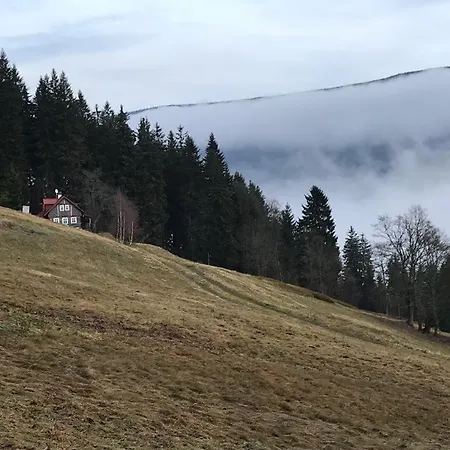Wellness Labska