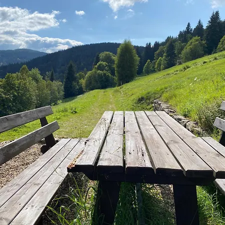 Prázdninový dům Wellness Labska Špindlerŭv Mlýn